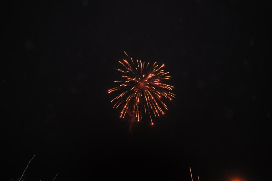 DSC 0059