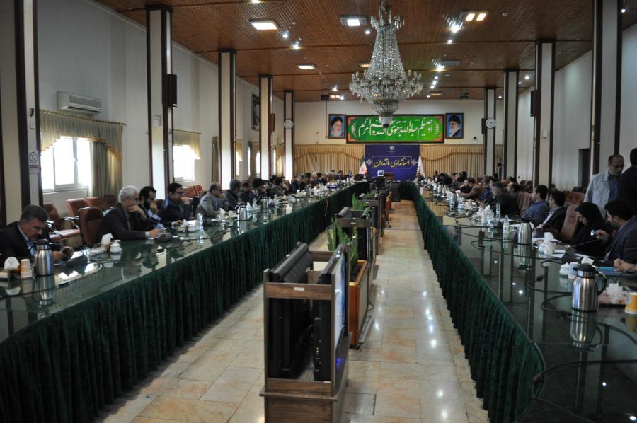 DSC 0020
